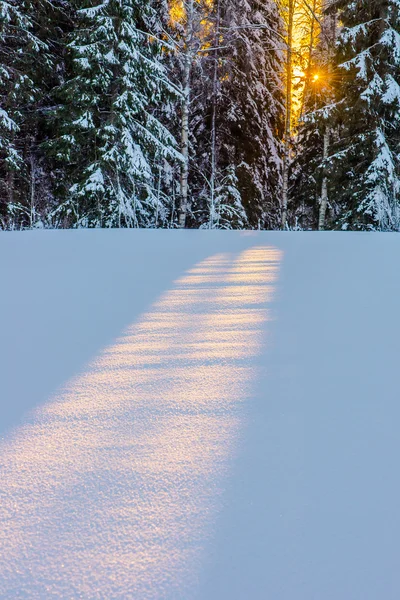 Téli napkelte — Stock Fotó