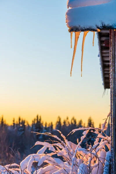 Eiszapfen bei Sonnenuntergang — Stockfoto