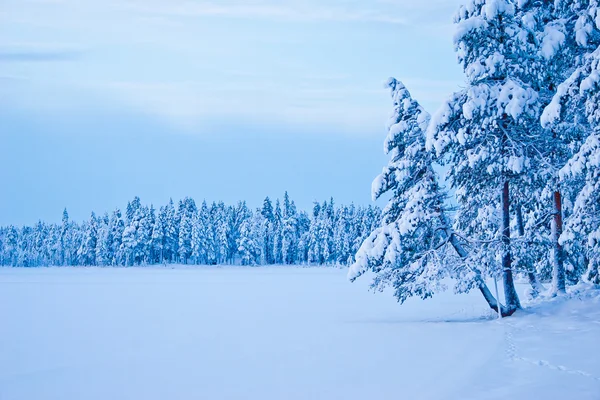 多云的冬季景观 — 图库照片