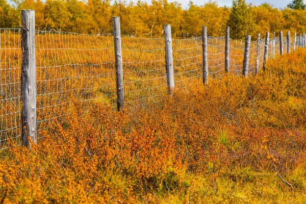 Reindeer fence — Stock Photo, Image