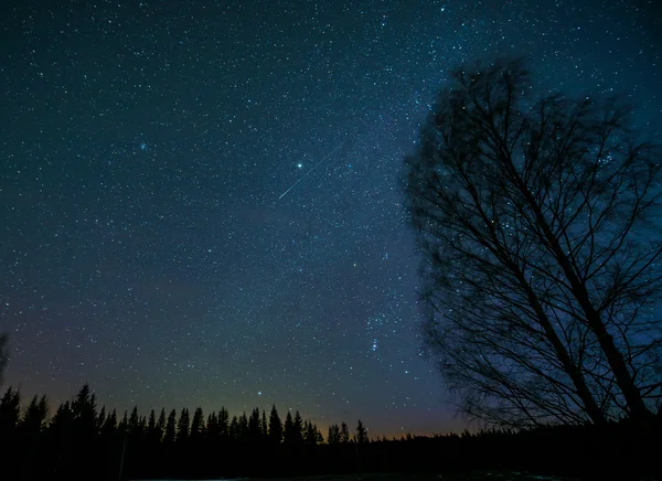 Estrellas nocturnas — Foto de Stock