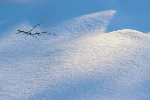 Pobočka na sněhu — Stock fotografie