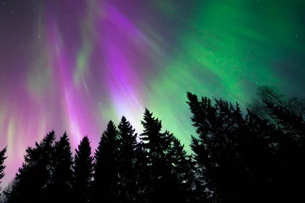 Colorful northern lights — Stock Photo, Image