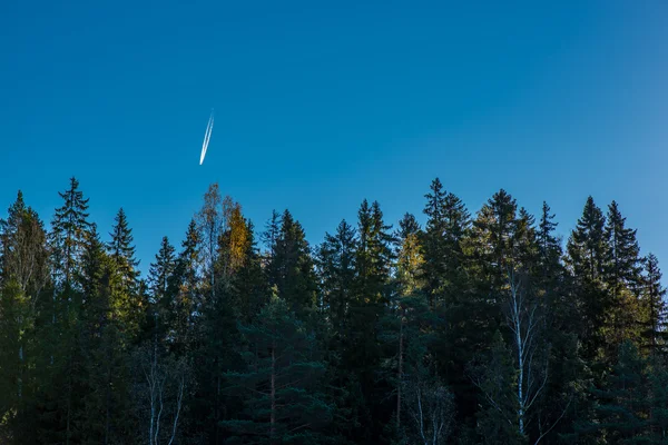 Flugzeug fliegt in den Himmel — Stockfoto