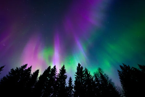 Colorful northern lights — Stock Photo, Image