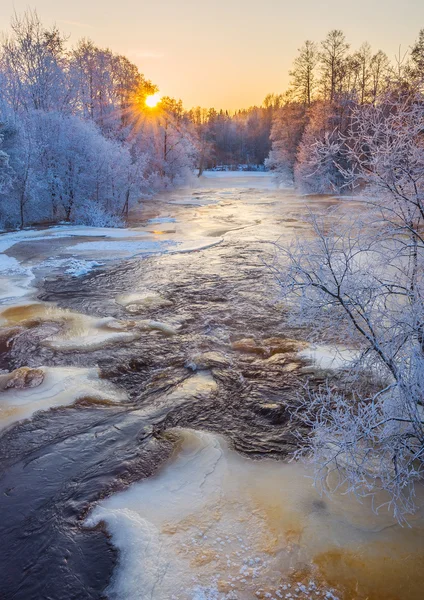 Cold winter sunset — Stock Photo, Image