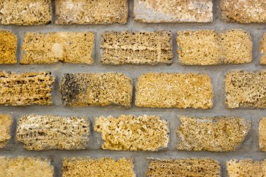 Sarı coquina duvarına closeup engeller 