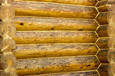 Duvar günlük ev güzel bir doku ile tedavi 