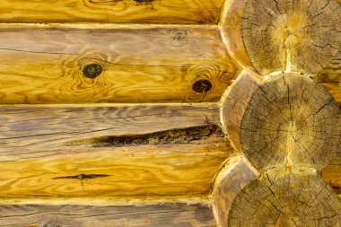 Duvar günlük ev güzel bir doku ile tedavi 