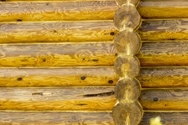 Duvar günlük ev güzel bir doku ile tedavi 