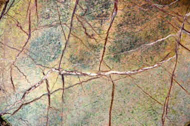 Mermer doku closeup arka plan bir yapı malzemesi