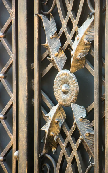 Metalden yapılmış kapı, Dekoratif süsleme — Stok fotoğraf