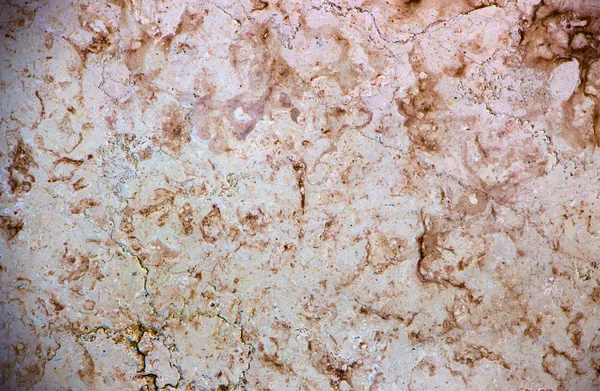 インドの石トラバーチンのテクスチャのサンプル — ストック写真