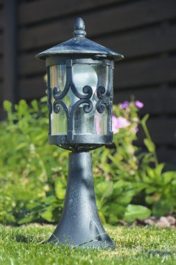 Bazı çok yıllık Sardunya konumlandırılmış bir güneş bahçe fener