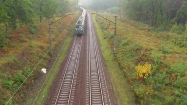 Bir yük treni sonbahar ormanlarında seyahat eder.