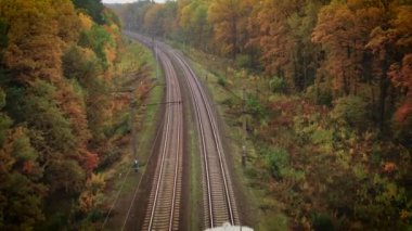 Bir yük treni sonbahar ormanlarında seyahat eder.