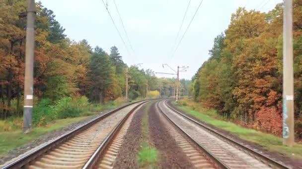 Vol lent sur la ligne de chemin de fer dans la forêt d'automne. — Video