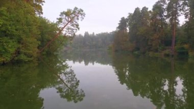 Dağ nehri ve sonbahar, kozalaklı yaprak döken orman, üst manzara..