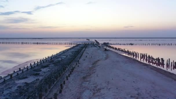 Embankment del lago rosado al atardecer. — Vídeos de Stock