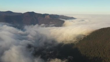 Dağların eteklerindeki sis sonbahar kozalaklı ormanlarla kaplıydı.