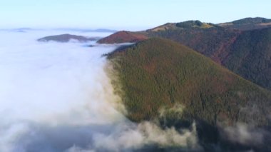 Dağların eteklerindeki sis sonbahar kozalaklı ormanlarla kaplıydı.