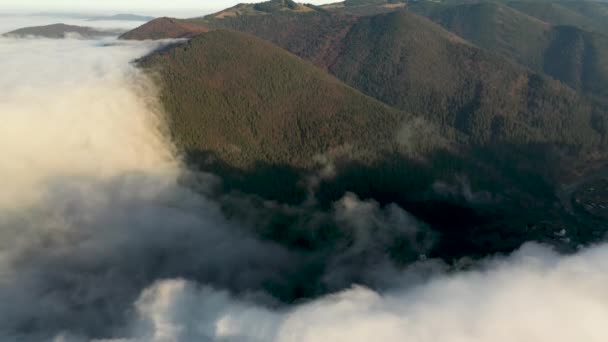 Nevoeiro nas intermontanhas dos cumes das montanhas coberto com floresta de coníferas de outono — Vídeo de Stock