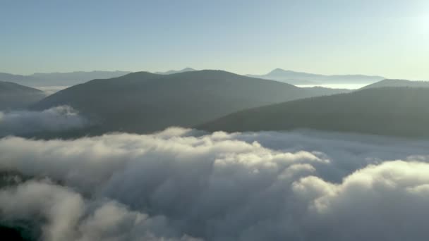 Nebbia tra le montagne delle cime ricoperte da una foresta di conifere autunnale — Video Stock