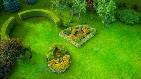 Césped Parque Mezhyhirya Hermoso Césped Verde Seto Plantas Hoja Perenne —  Fotos de Stock