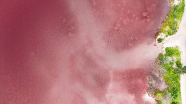 Pembe Ada 'daki adanın kıyılarında beyaz tuz. Lemuria Gölü, Ukrayna.