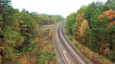 Bir yük treni sonbahar ormanlarında seyahat eder.