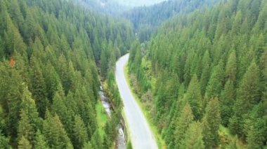 Ormanın içinden geçen manzara dağ yolu. Drone görünümü