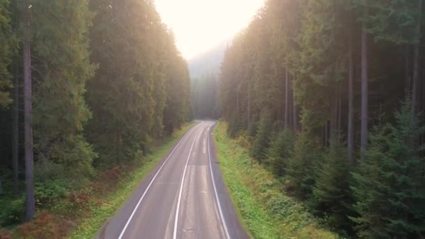 Paesaggio strada di montagna attraverso la foresta. Vista drone — Video Stock