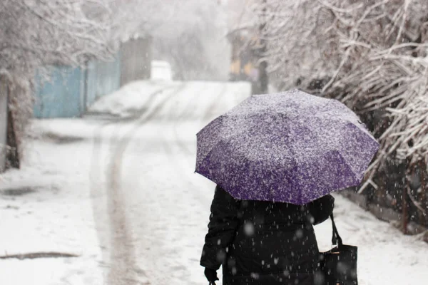 Neve Sulle Persone Sugli Ombrelloni Che Camminano Strada Durante Una — Foto Stock