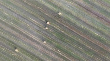 Balyalar sahada, büyük sarı yuvarlak.