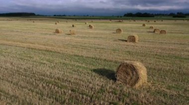 Balyalar sahada, büyük sarı yuvarlak.