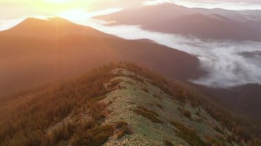 Şafak vakti Hamster Dağı 'nın tepesinden bak..