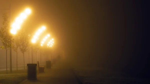 Νύχτα Δρόμο Της Πόλης Φανάρια Φωτίζουν Δρόμο Νύχτα Στην Ομίχλη — Φωτογραφία Αρχείου