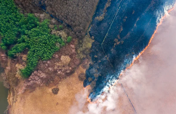 Száraz Füvet Éget Erdő Közelében Környezeti Katasztrófa Káros Légköri Kibocsátással — Stock Fotó