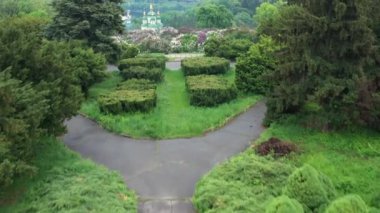 Kiev botanik bahçesinde leylak çalıları çiçek açar. İnsansız hava aracından görüntüle.