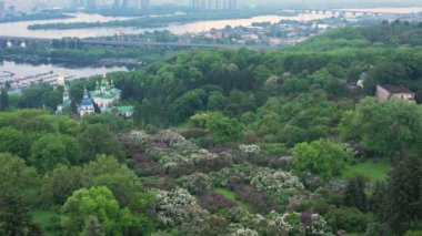 Kiev botanik bahçesinde leylak çalıları çiçek açar. İnsansız hava aracından görüntüle.