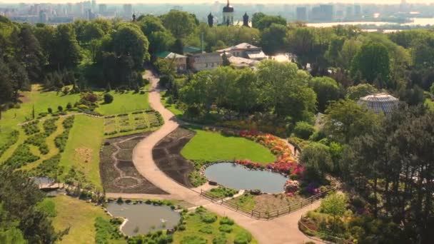 Azalea 's bloeien in een bloembed in de botanische tuin. — Stockvideo