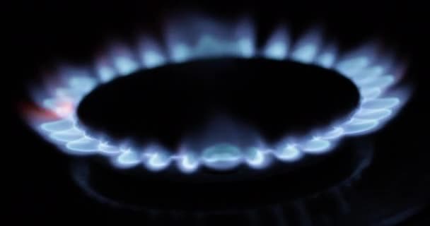 Modrý plynový plamen, na plynovém komfortu na černém pozadí. — Stock video