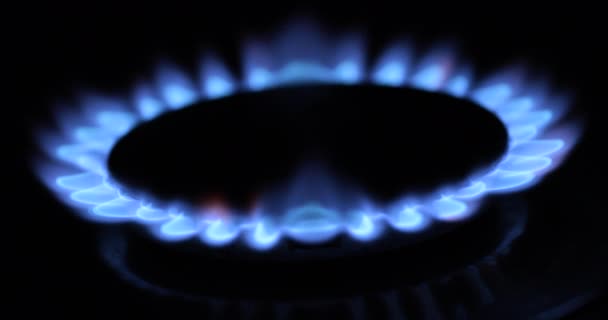 Fiamma a gas blu, sul comfort del gas su fondo nero. — Video Stock
