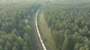 Bir yük treni sonbahar ormanlarında seyahat eder.