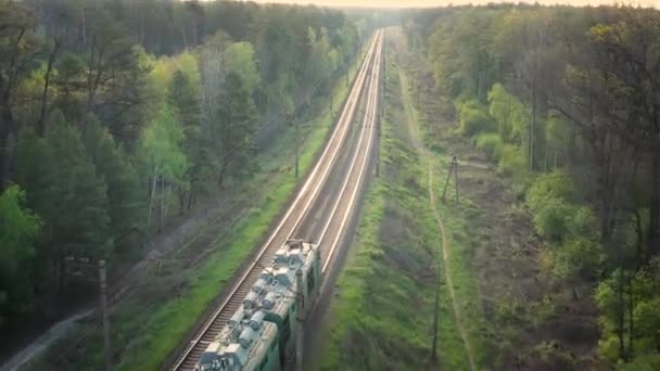 A freight train travels through the autumn forest — Stock Video