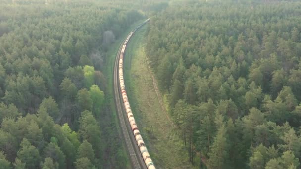 秋の森を走る貨物列車 — ストック動画