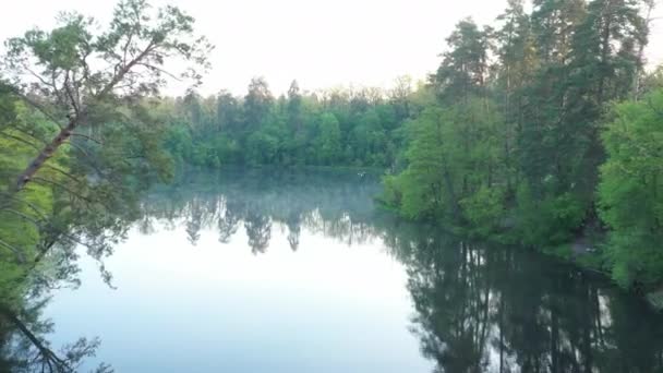 Reflejo de árboles en el agua. Lago en el bosque. — Vídeo de stock