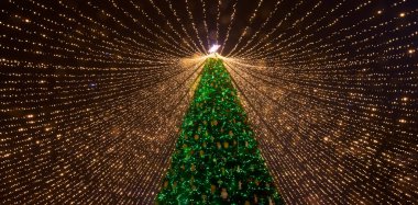 Noel ağacı. Sofya Meydanı 'ndaki Ukrayna' nın ana Noel ağacı. Aşağıdan görüntüle.