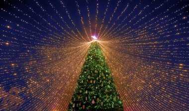 Noel ağacı. Sofya Meydanı 'ndaki Ukrayna' nın ana Noel ağacı. Aşağıdan görüntüle.