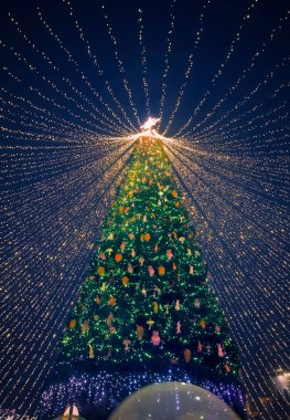 Noel ağacı. Sofya Meydanı 'ndaki Ukrayna' nın ana Noel ağacı. Aşağıdan görüntüle.